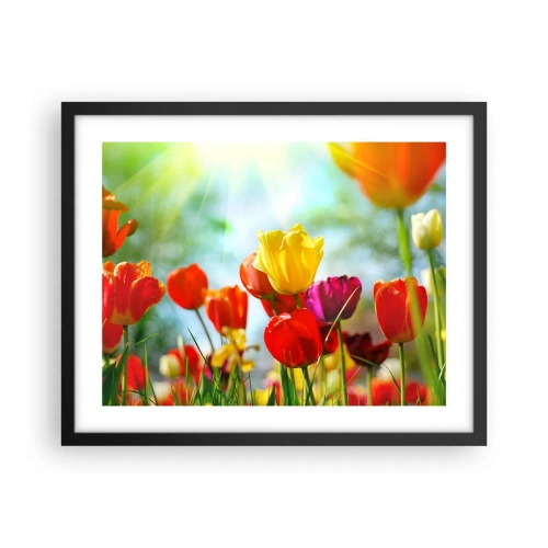 Poster in einem schwarzem Rahmen - Alle Farben der Sonne - 50x40 cm