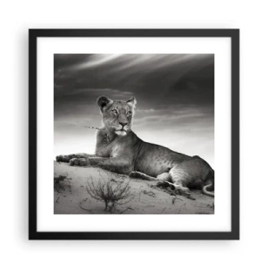 Poster in einem schwarzem Rahmen - Die Königin der Wüstenruhe - 40x40 cm