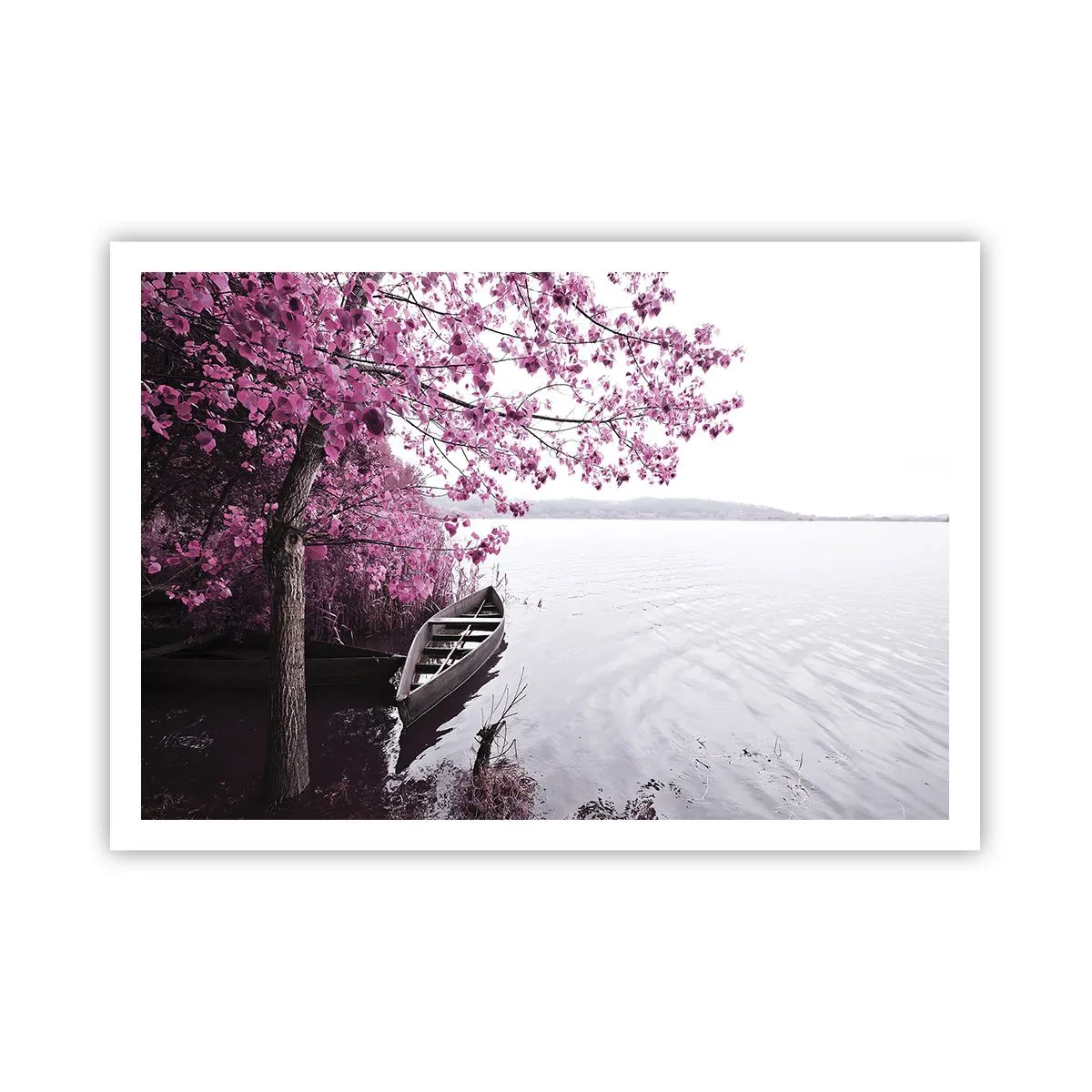 Poster - Ein Boot am Ufer eines Sees zwischen rosa Bäumen - 100x70cm - In rosa Stille - Moderne Wanddekoration für Wohnzimmer und Schlafzimmer ARTTOR