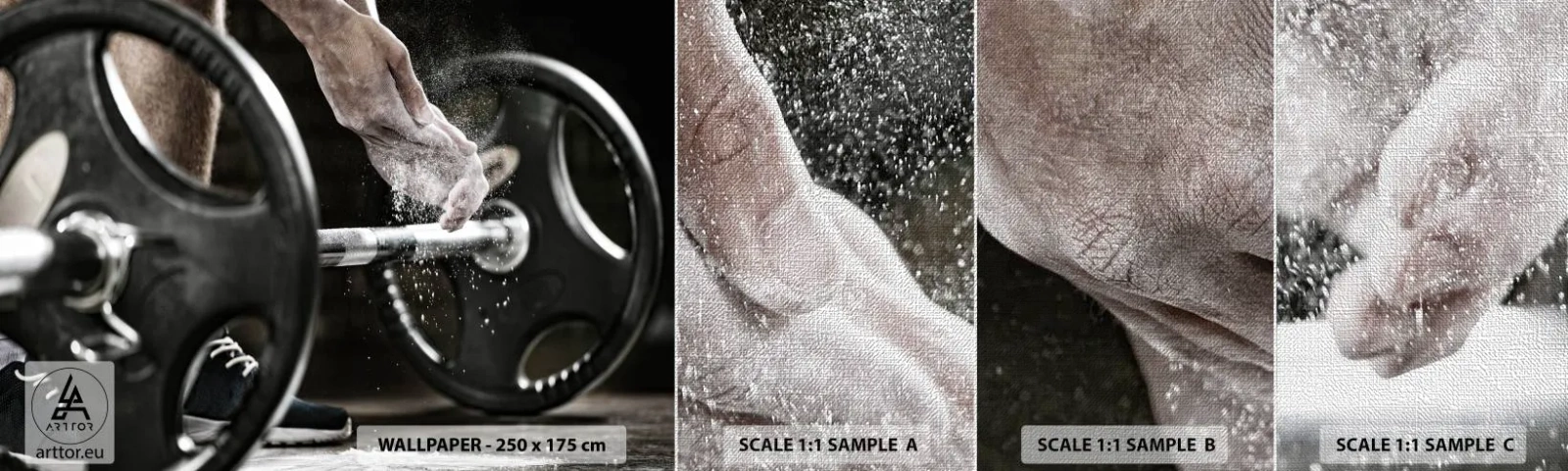 Fototapeten Muster Premium Canvas - Herausforderung angenommen! - Sport, Fitnessstudio, Gewichtheben - 100x30 cm