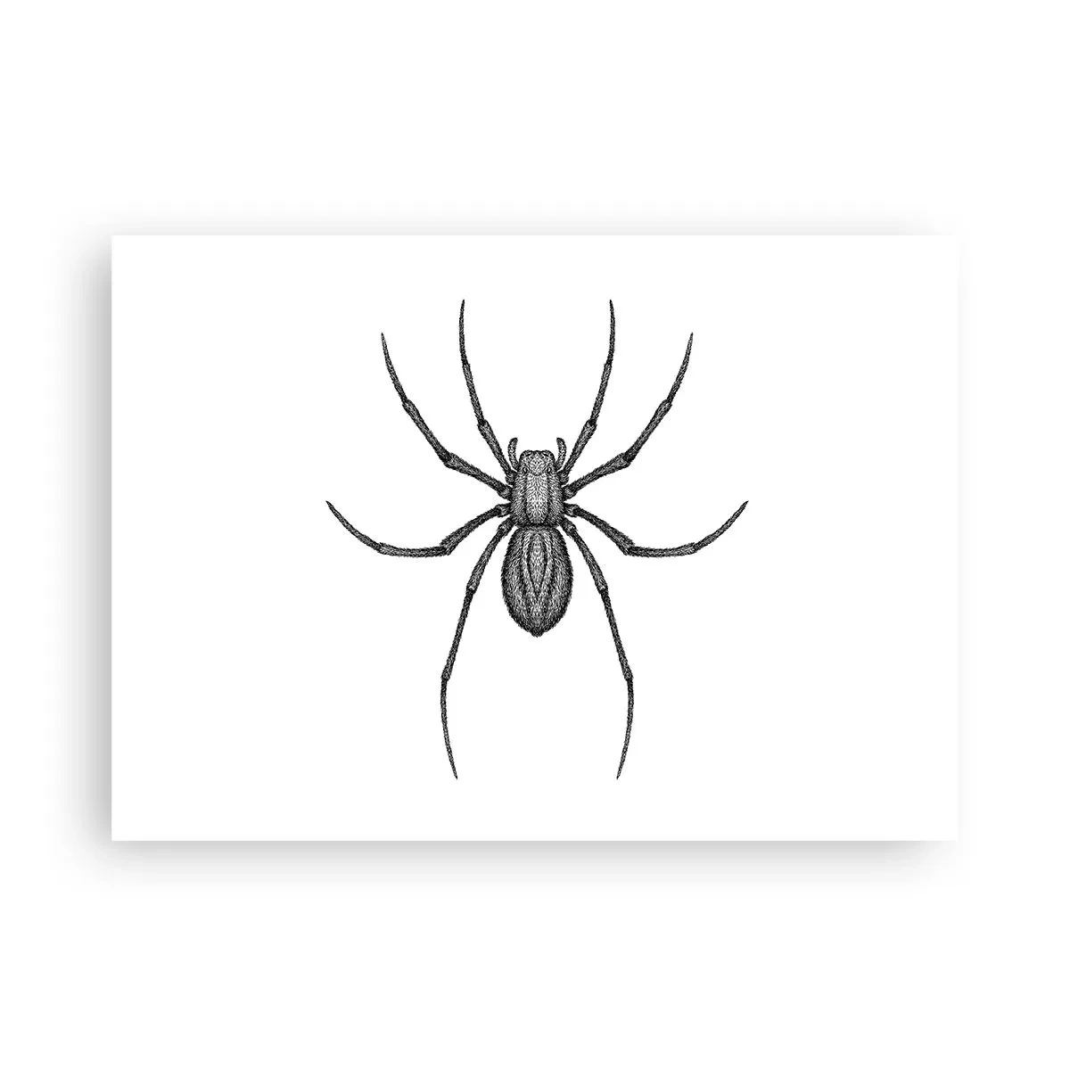 Poster - Beunruhigende Präzision - 70x50 cm