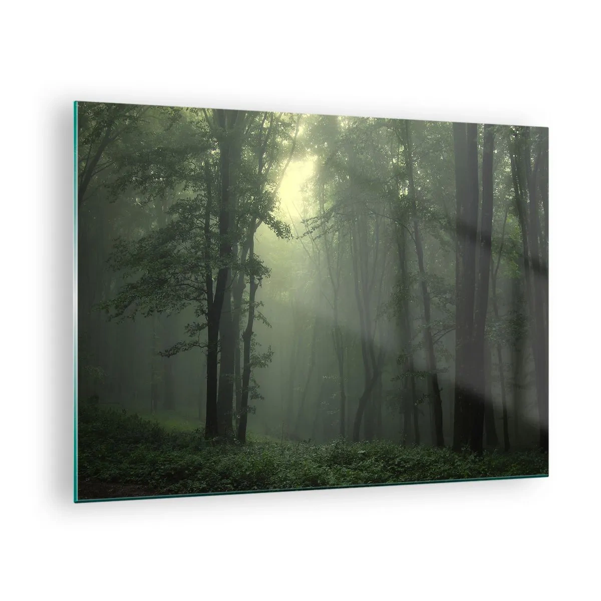 Glasbild - Bild auf glas - Ein dunkler Wald, in Nebel gehüllt, mit Lichtstrahlen - 70x50cm - Bevor er aufwacht - Moderne Wanddekoration für Wohnzimmer und Schlafzimmer ARTTOR
