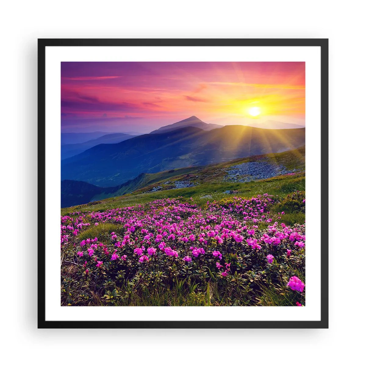 Poster in einem schwarzem Rahmen - … Und drumherum duftet es nach Latschenkiefer und dem Duft von Kräutern - 60x60 cm