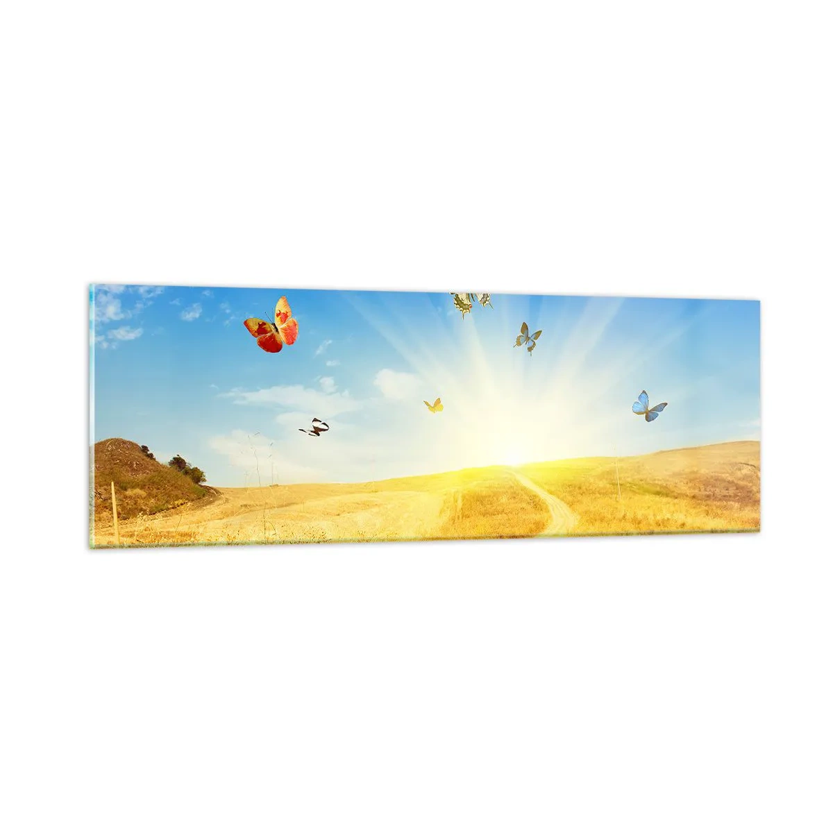 Glasbild - Bild auf glas - Und wie kann man den Sommer nicht lieben? - 90x30 cm