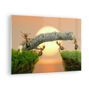 Glasbild - Bild auf glas - Ameisen bauen bei Sonnenuntergang eine Brücke - 70x50cm - Glücklich, zusammen arbeiten - Moderne Wanddekoration für Wohnzimmer und Schlafzimmer ARTTOR