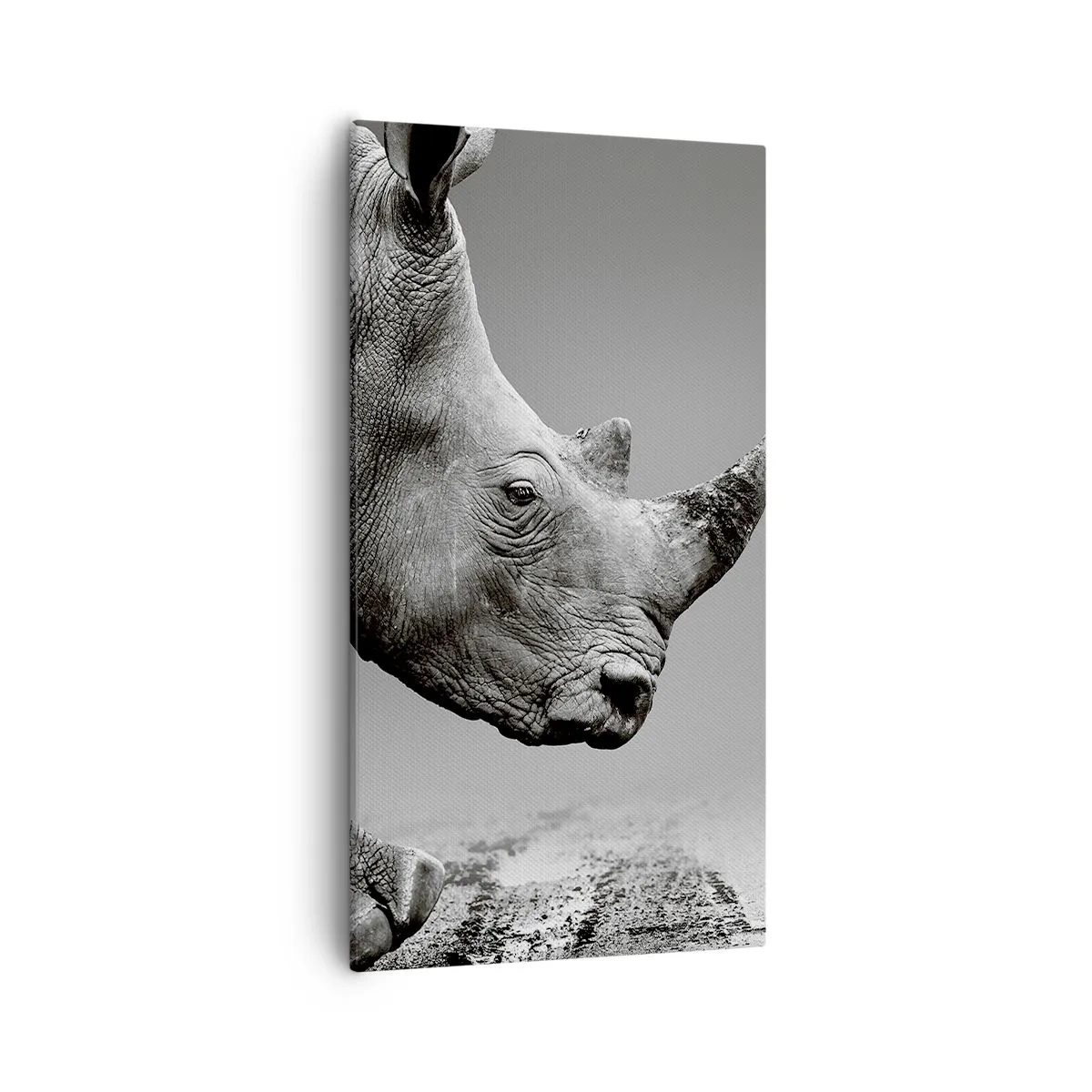 Bild auf Leinwand - Leinwandbild - Unaufhaltsame Stärke - 55x100 cm