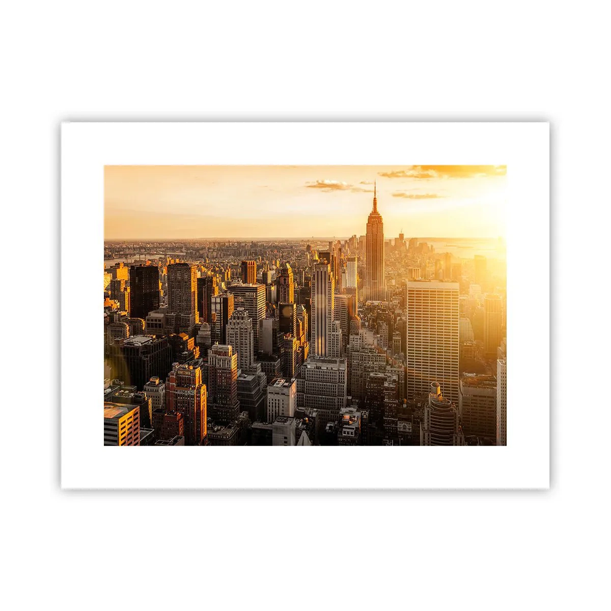Poster - In der Sonne wachsen - 40x30 cm