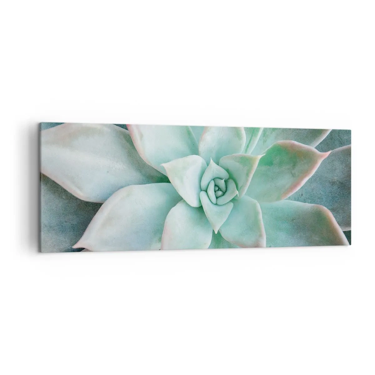 Bild auf Leinwand - Leinwandbild - Nahaufnahme einer grünen Sukkulente - 140x50cm - Das Herz der Wüste - Moderne Wanddekoration für Wohnzimmer und Schlafzimmer ARTTOR