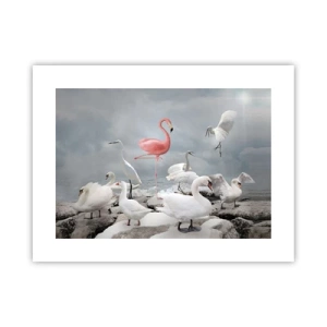 Poster - Wie kam ich hier hin? - 40x30 cm