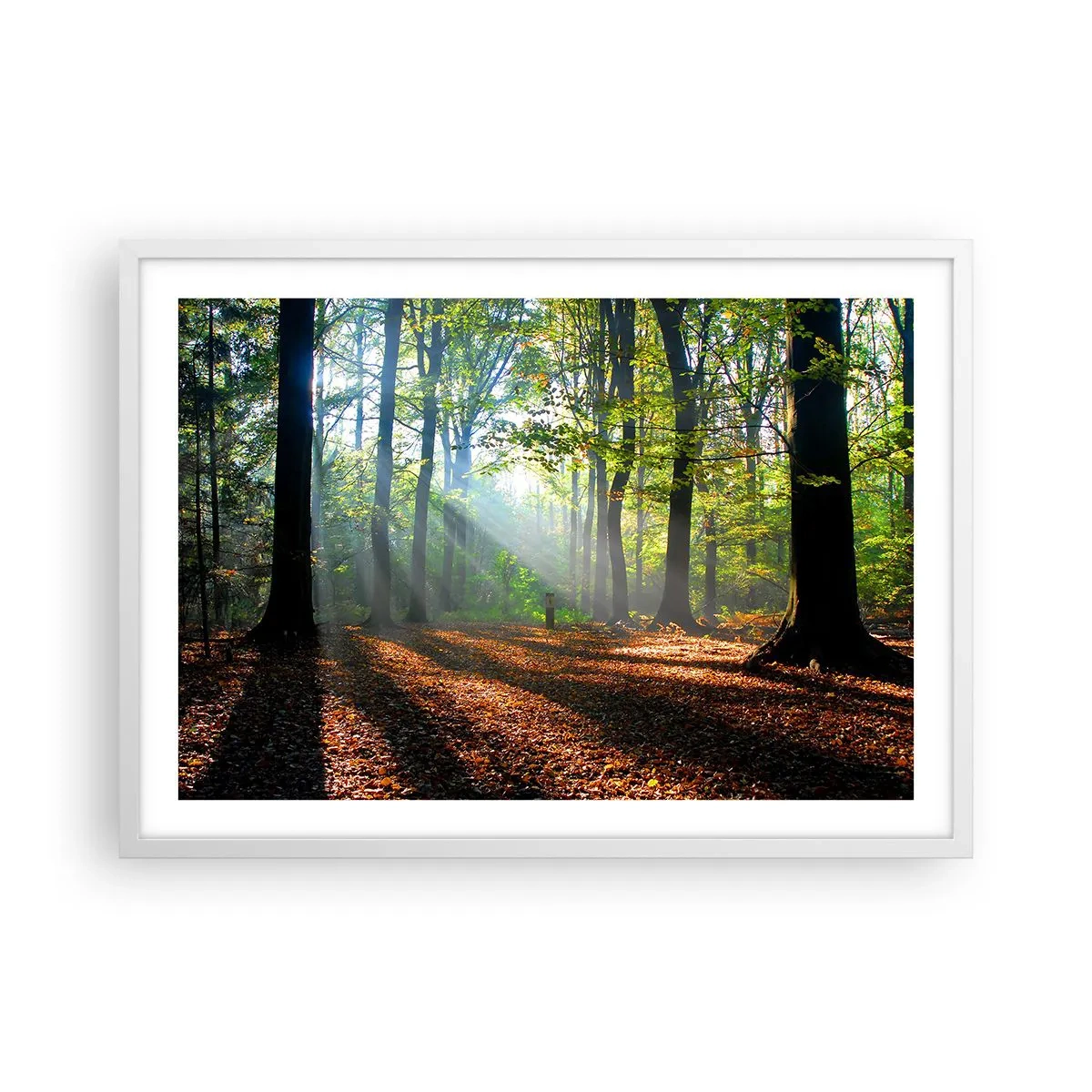 Poster in einem weißen Rahmen - Licht und Schatten - 70x50 cm