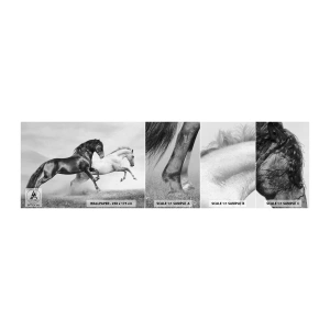 Fototapeten Muster Selbstklebend Deluxe Sticker - Engel und Dämonen - Tiere, Pferde, Natur - 100x30 cm