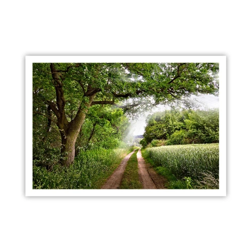 Poster - Eine unbefestigte Straße zwischen grünen Bäumen und Sonnenlicht - 100x70cm - Et in Arcadia ego - Moderne Wanddekoration für Wohnzimmer und Schlafzimmer ARTTOR