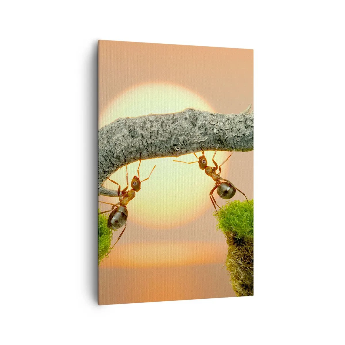 Bild auf Leinwand - Leinwandbild - Ameisen bauen vor dem Hintergrund der untergehenden Sonne eine Brücke aus Ästen. - 80x120cm - Glücklich, zusammen arbeiten - Moderne Wanddekoration für Wohnzimmer und Schlafzimmer ARTTOR