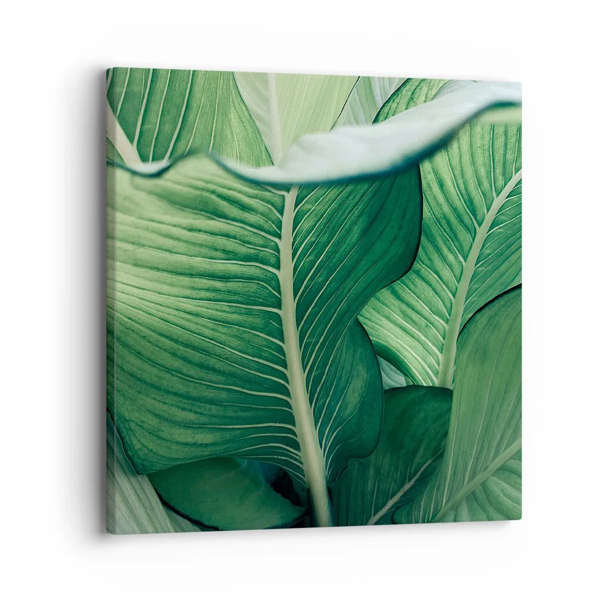 Bild auf Leinwand - Leinwandbild - Intensiv grünes Leben - 30x30 cm