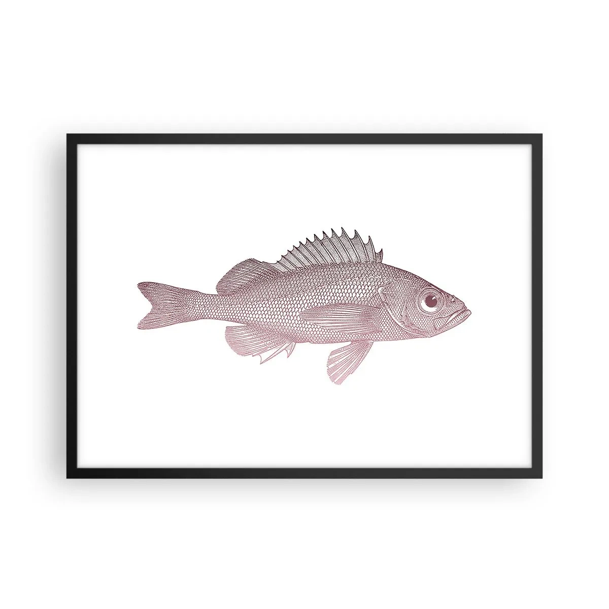 Poster in einem schwarzem Rahmen - Detaillierte Darstellung eines Fisches auf weißem Hintergrund - 70x50cm - Großäugiger Fisch - Moderne Wanddekoration für Wohnzimmer und Schlafzimmer ARTTOR