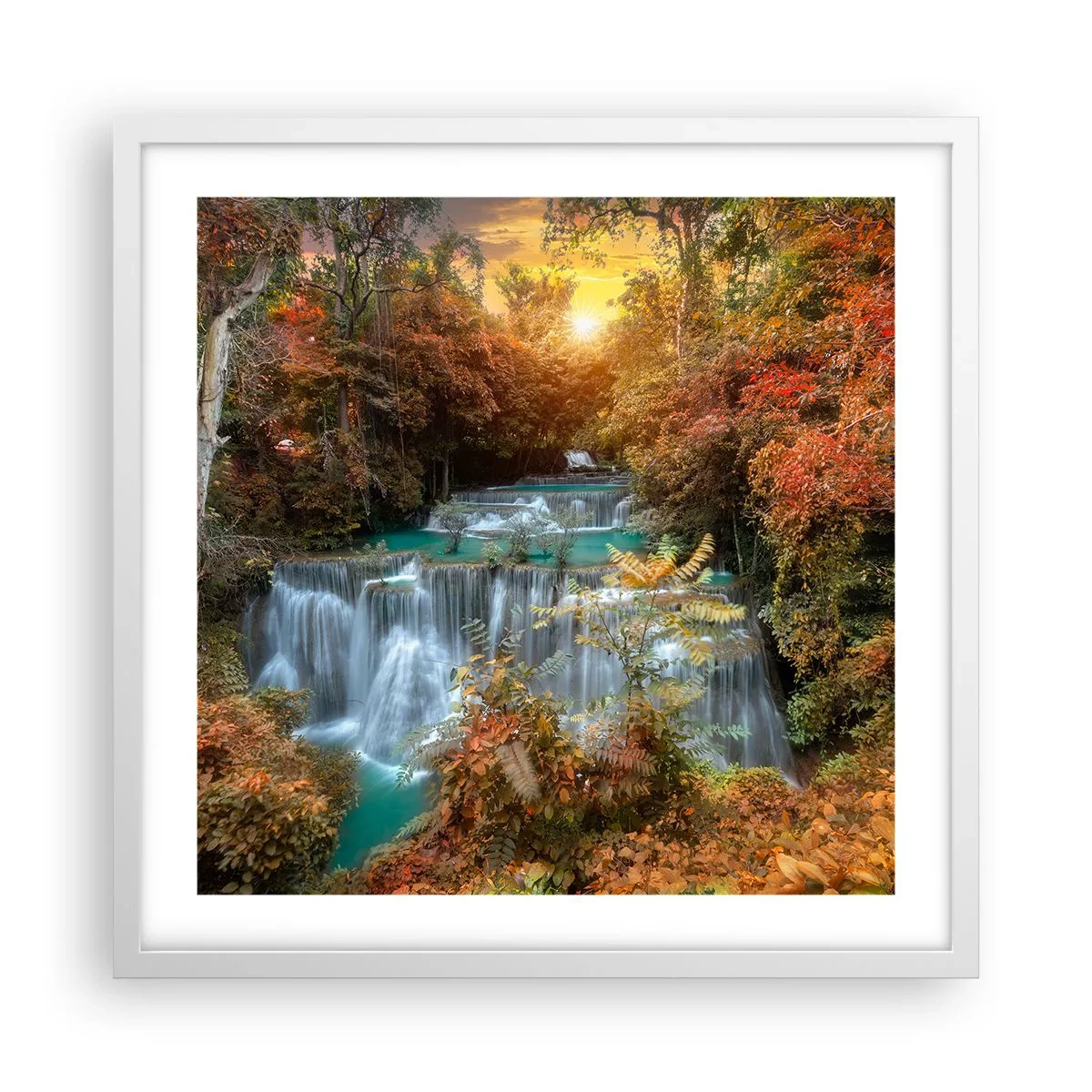Poster in einem weißen Rahmen - Versteckter Schatz des Waldes - 50x50 cm