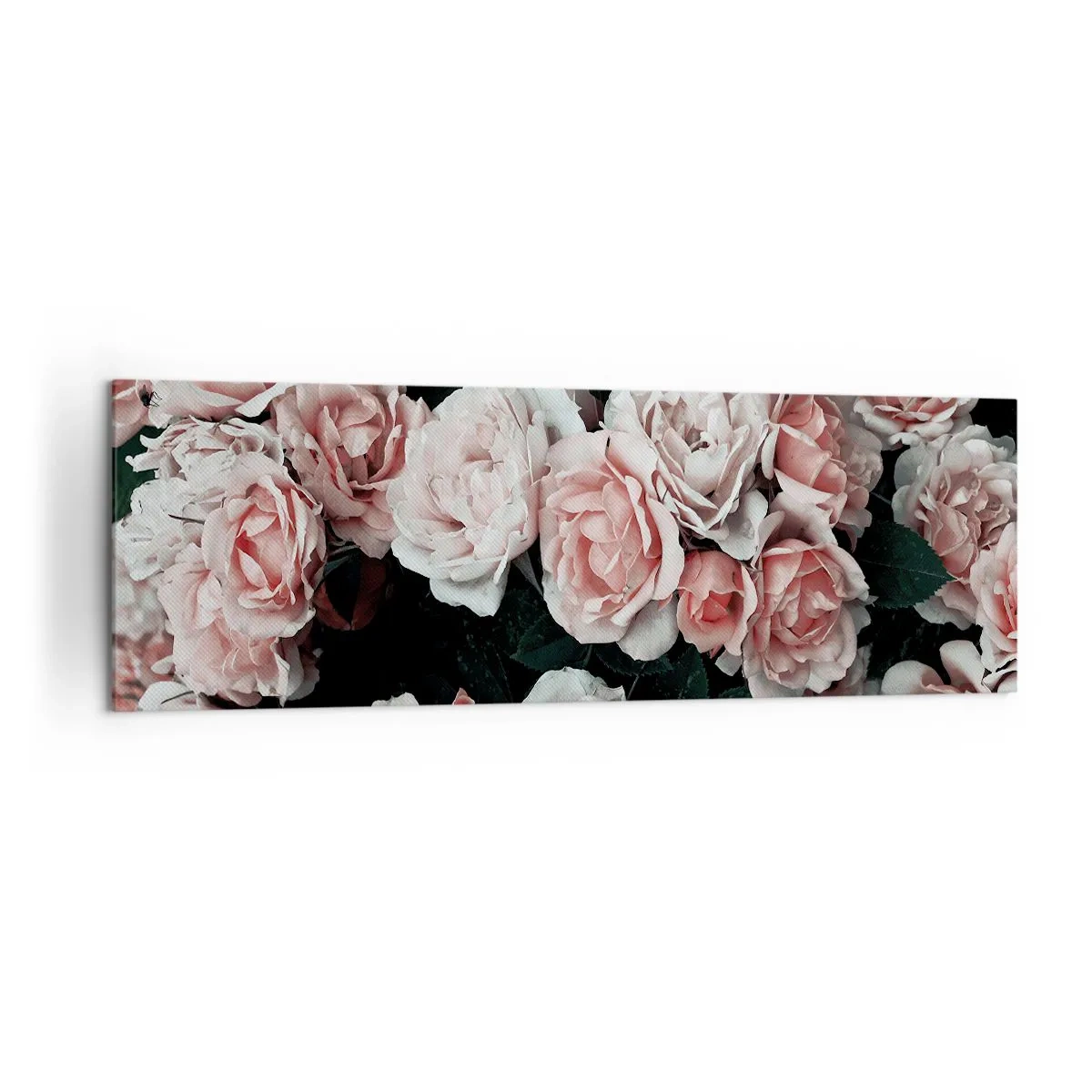 Bild auf Leinwand - Leinwandbild - Rosa Rosen auf dunklem Hintergrund in einer subtilen Komposition - 160x50cm - Rosen-Ensemble - Moderne Wanddekoration für Wohnzimmer und Schlafzimmer ARTTOR
