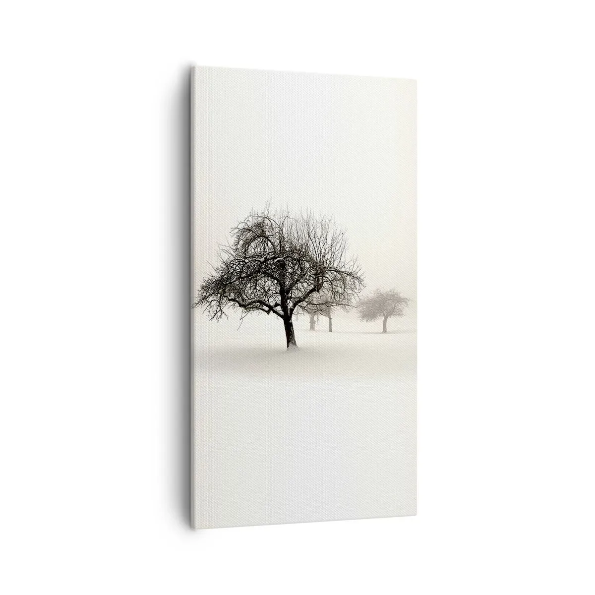 Bild auf Leinwand - Leinwandbild - Winterschlaf - 55x100 cm