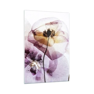 Glasbild - Bild auf glas - Zarte transparente Blüten in Pastelltönen - 70x100cm - Transparente Körperblumen - Moderne Wanddekoration für Wohnzimmer und Schlafzimmer ARTTOR