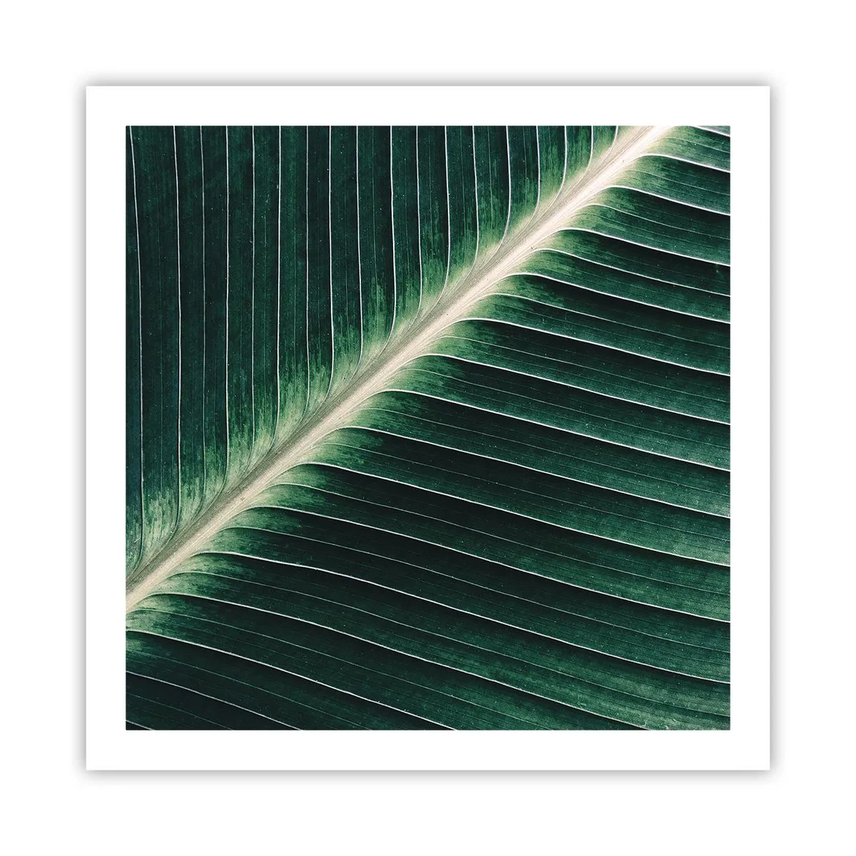 Poster - Rhythmus der Natur - 60x60 cm