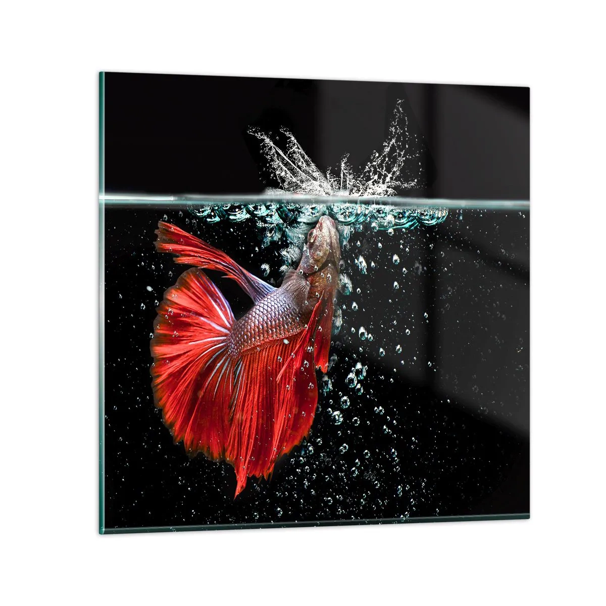 Glasbild - Bild auf glas - Du hast drei Wünsche - 60x60 cm