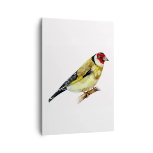 Bild auf Leinwand - Leinwandbild - Ein Vogel mit rotem Kopf auf einem Ast - 70x100cm - Vogelporträt - Moderne Wanddekoration für Wohnzimmer und Schlafzimmer ARTTOR