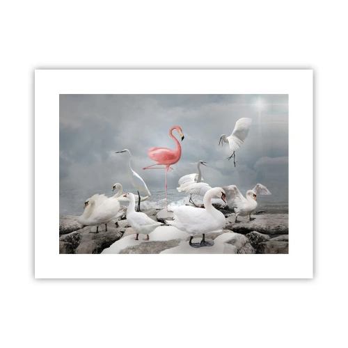 Poster - Wie kam ich hier hin? - 40x30 cm