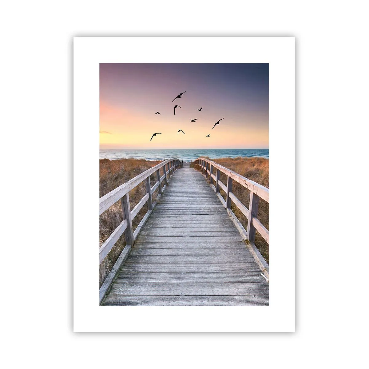 Poster - Der Raum für Auffliegen - 30x40 cm