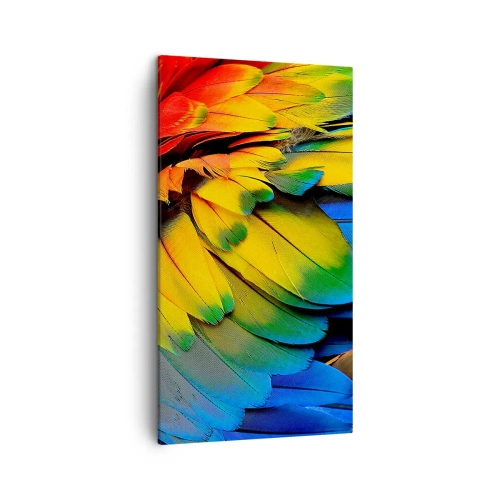 Bild auf Leinwand - Leinwandbild - Paradiesvogel - 45x80 cm