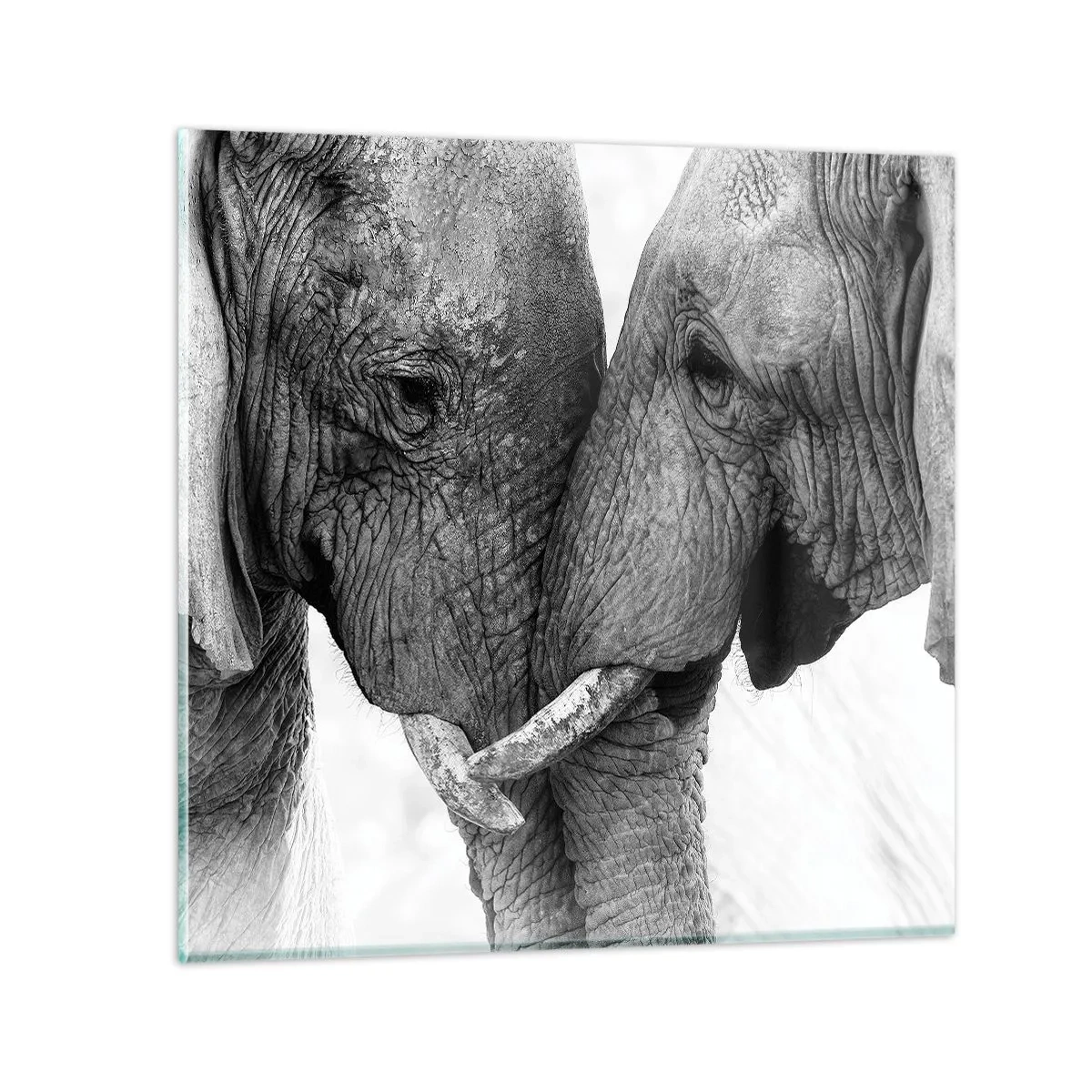 Glasbild - Bild auf glas - Herzliches Geständnis - 60x60 cm