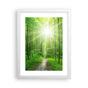 Poster in einem weißen Rahmen - Die grüne Kathedrale - 30x40 cm