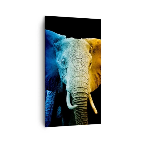 Bild auf Leinwand - Leinwandbild - Exzentrisch, kein Verrückter - 45x80 cm