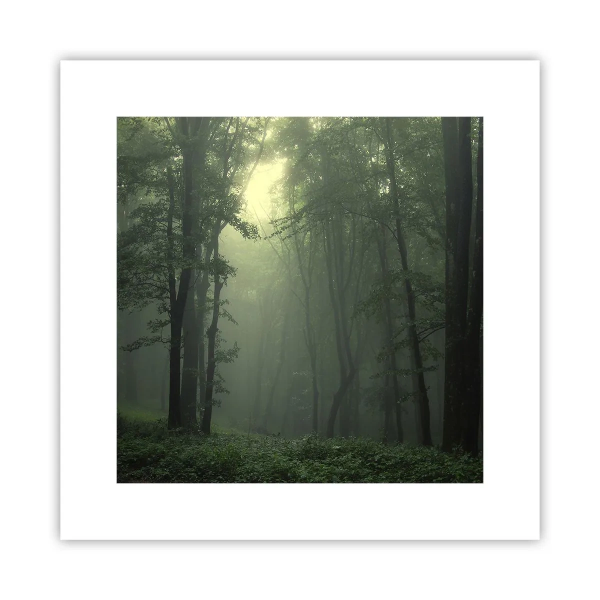 Poster - Bevor er aufwacht - 30x30 cm