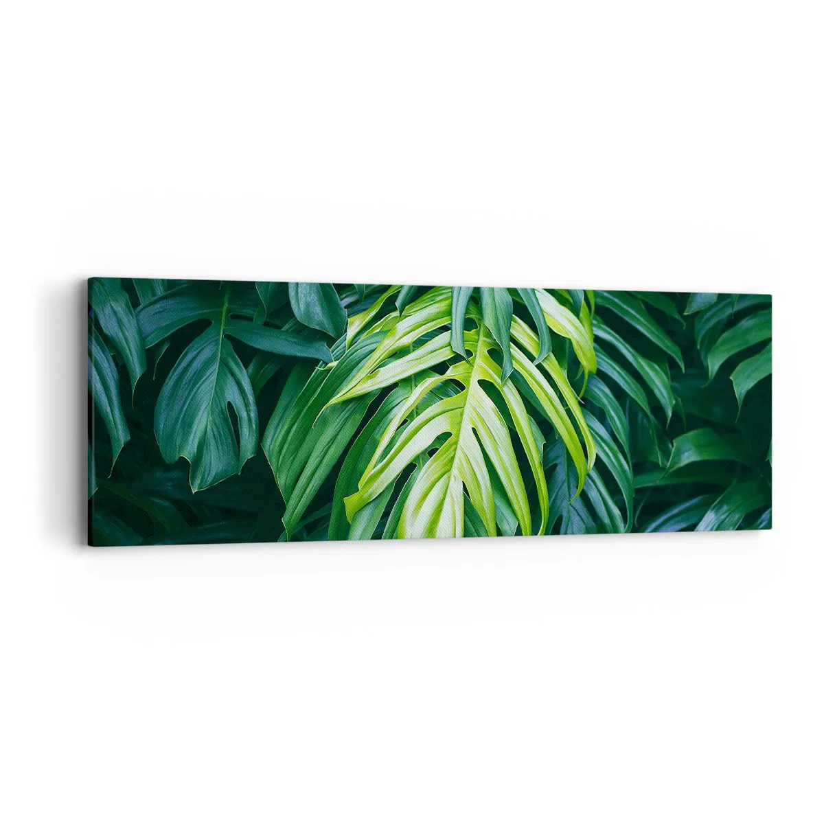 Bild auf Leinwand - Leinwandbild - Tauchen Sie ein in die Frische - 90x30 cm