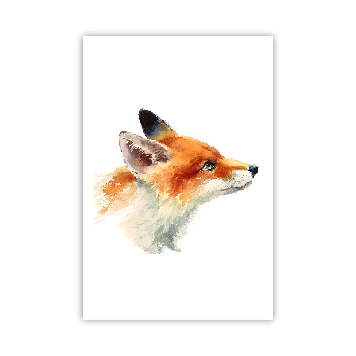 Poster - Man kann nie vorsichtig genug sein - 61x91 cm