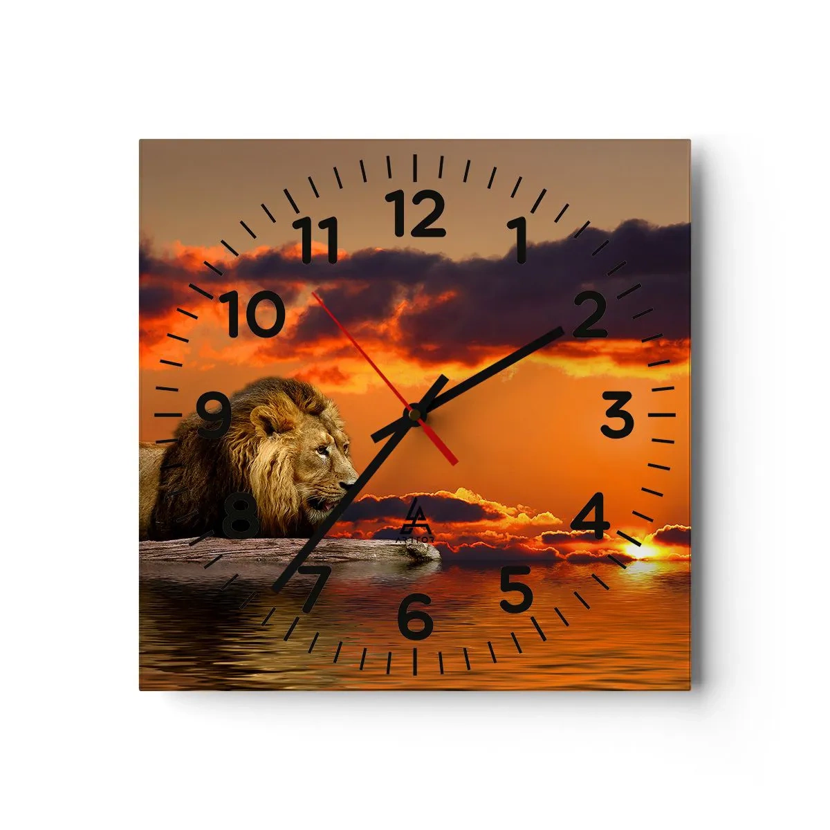 Wanduhr - Glasuhr - König der Natur - 40x40 cm