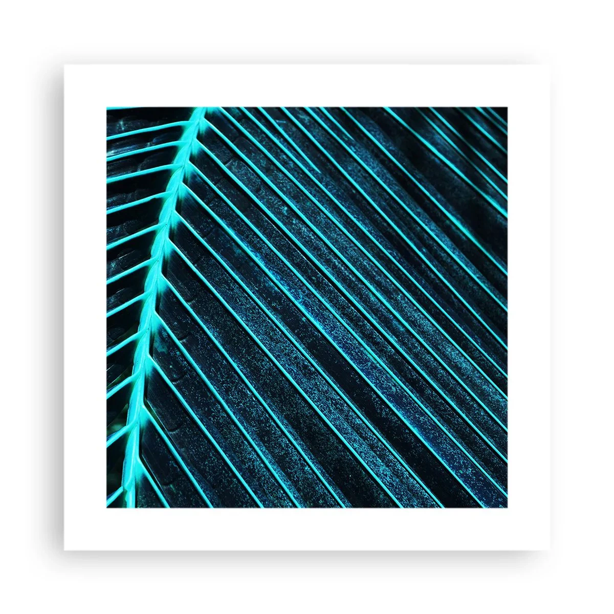 Poster - Grüne Textur - 40x40 cm