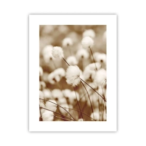 Poster - Flauschiges Kornfeld - 30x40 cm