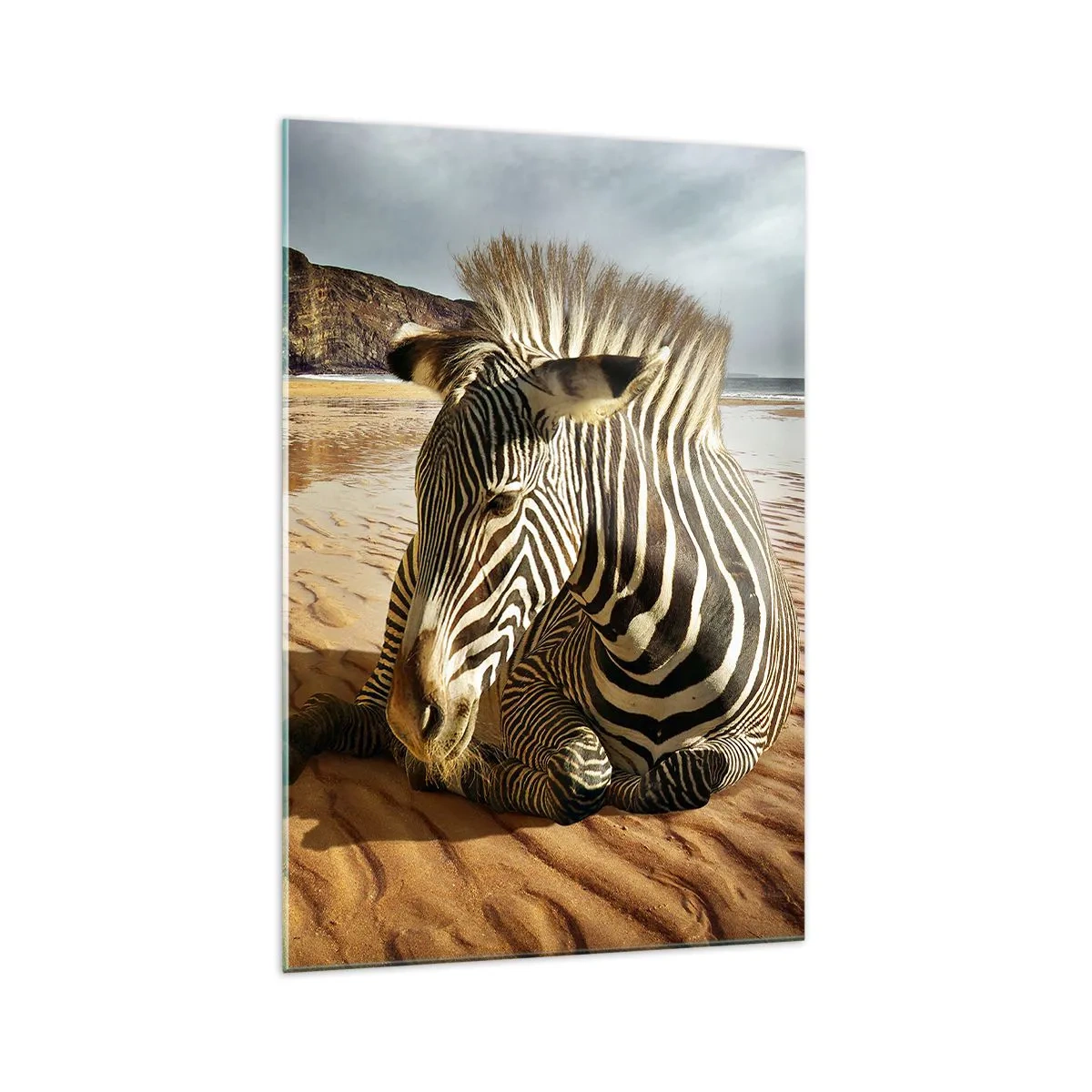 Glasbild - Bild auf glas - Ein Zebra ruht sich an einem Sandstrand mit Klippen im Hintergrund aus. - 70x100cm - Wir passen zusammen - Moderne Wanddekoration für Wohnzimmer und Schlafzimmer ARTTOR