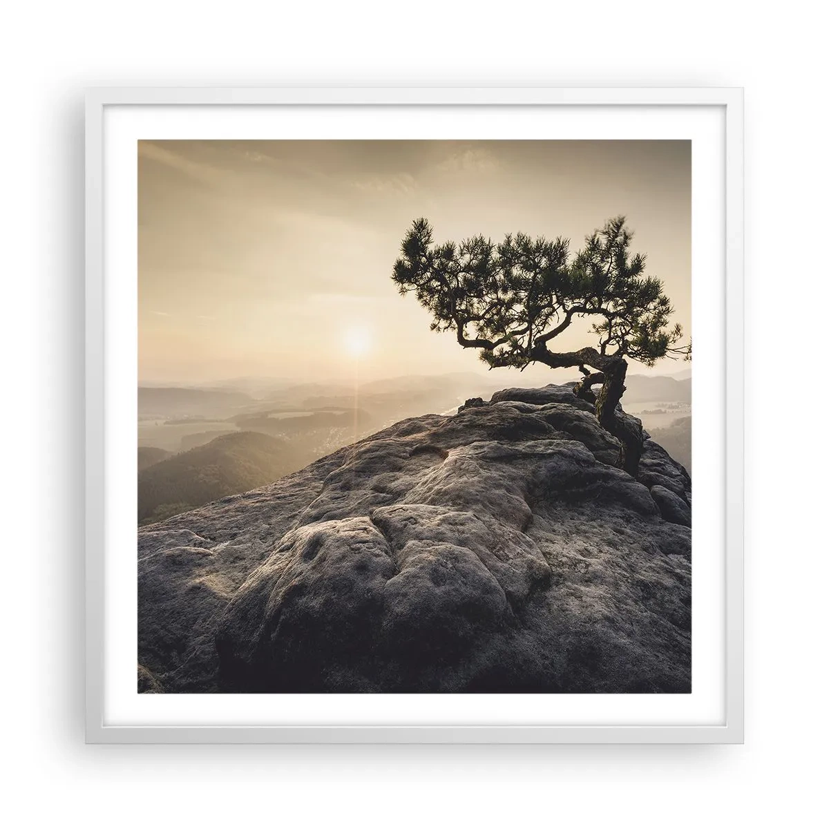 Poster in einem weißen Rahmen - Das Leben gewinnt immer - 60x60 cm