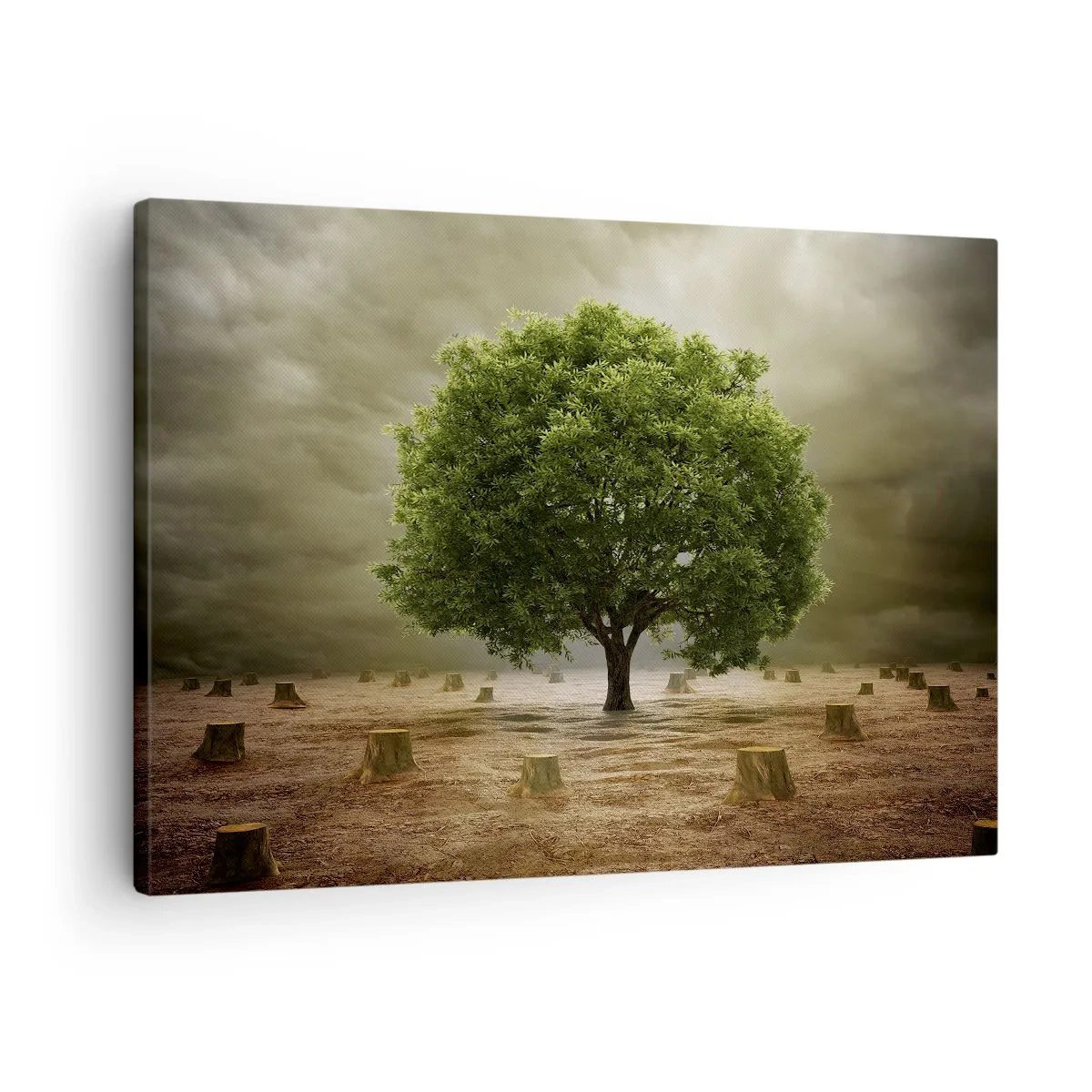 Bild auf Leinwand - Leinwandbild - Ein grüner Baum, umgeben von gefällten Baumstämmen vor einem bewölkten Himmel - 70x50cm - Alle Hoffnung - Moderne Wanddekoration für Wohnzimmer und Schlafzimmer ARTTOR