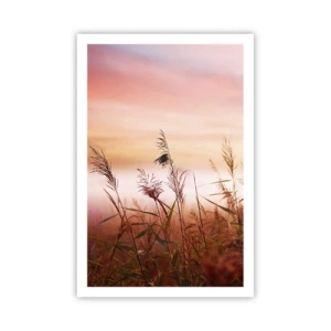 Poster - Drachen, Löwenzahn, Wind - 61x91 cm