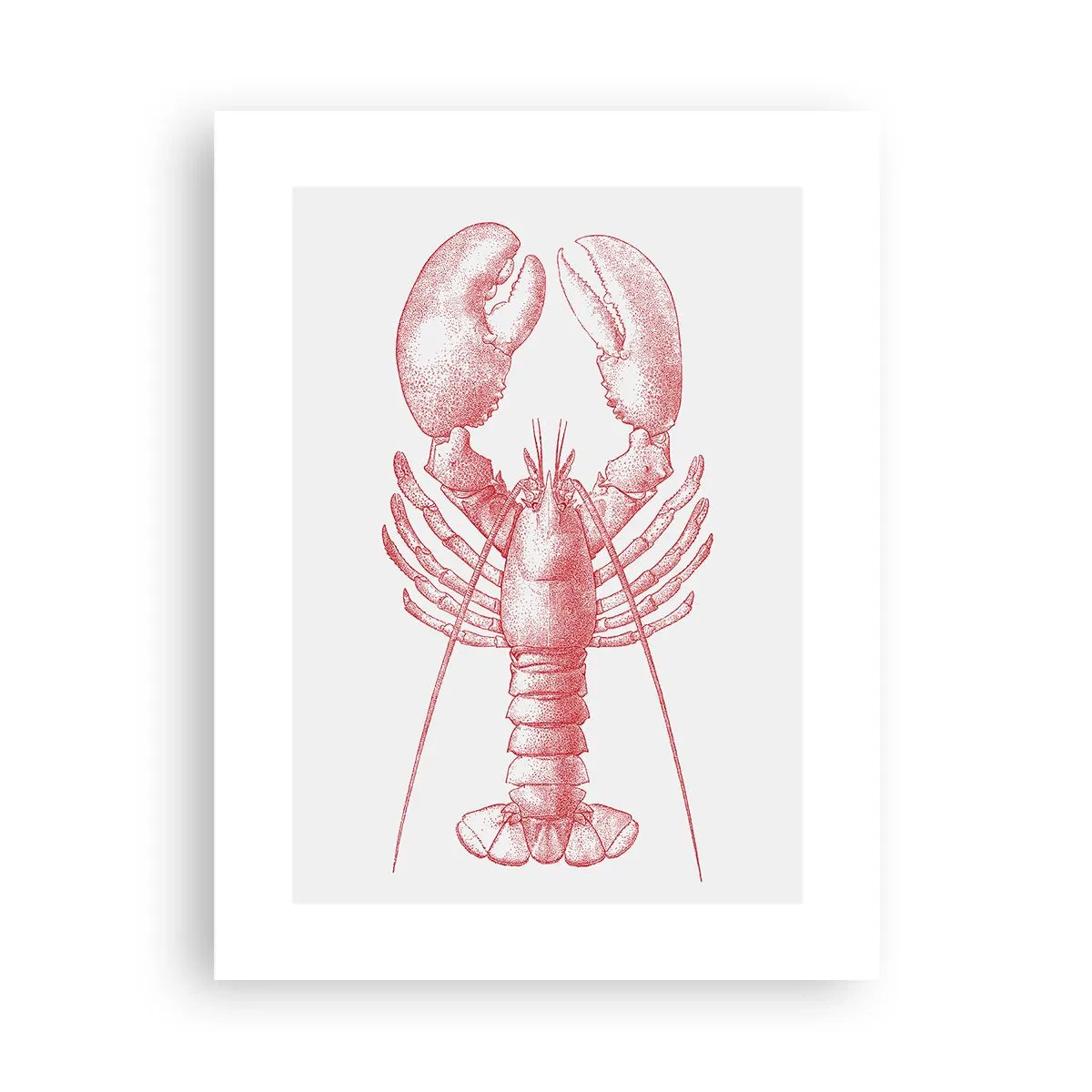Poster - Hummer, der Homers würdig ist - 30x40 cm