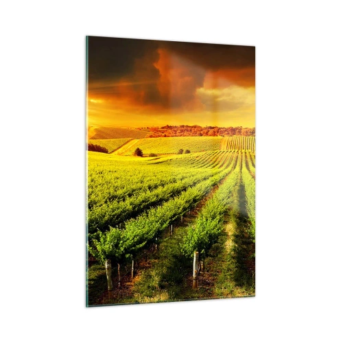 Glasbild - Bild auf glas - Weinberg im Licht der untergehenden Sonne - 50x70cm - Unter der australischen Sonne - Moderne Wanddekoration für Wohnzimmer und Schlafzimmer ARTTOR