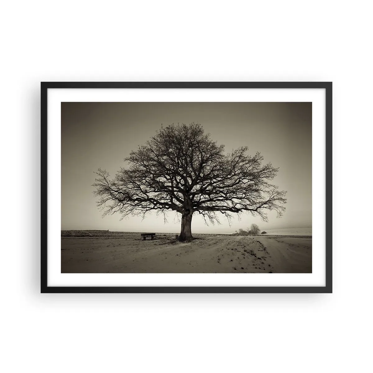 Poster in einem schwarzem Rahmen - Ein einsamer Baum in einem Sepia-Feld - 70x50cm - Von hier zu Ewigkeit - Moderne Wanddekoration für Wohnzimmer und Schlafzimmer ARTTOR