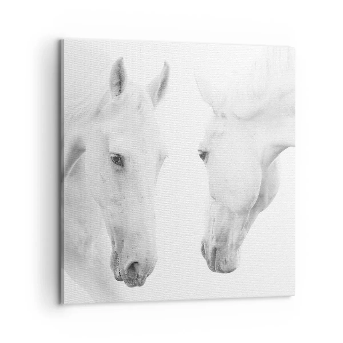 Bild auf Leinwand - Leinwandbild - Ist das Freundschaft...? - 60x60 cm