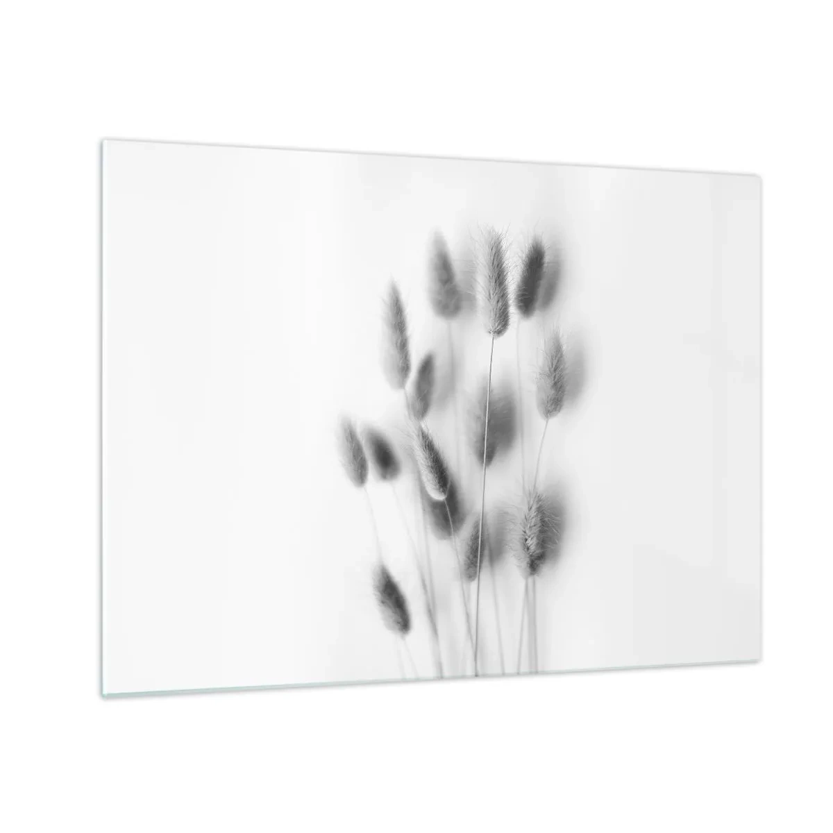 Glasbild - Bild auf glas - Schwarz-weiße Grasähren auf hellem Hintergrund im minimalistischen Stil - 70x50cm - Eure flauschige Grashoheit - Moderne Wanddekoration für Wohnzimmer und Schlafzimmer ARTTOR