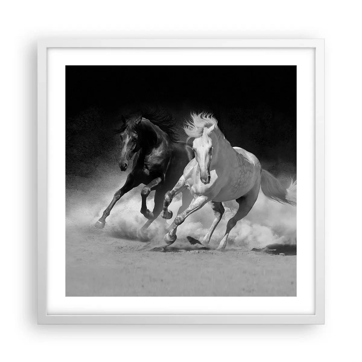 Poster in einem weißen Rahmen - Galopp der Freiheit - 50x50 cm