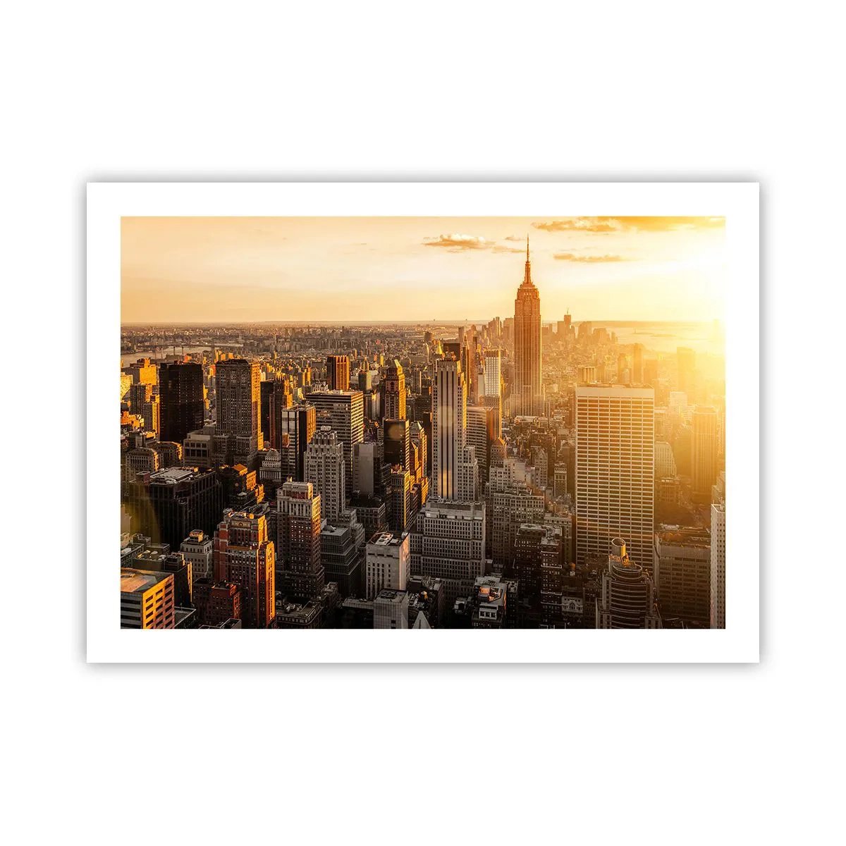 Poster - In der Sonne wachsen - 70x50 cm