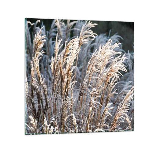 Glasbild - Bild auf glas - Gekleidet mit Frost - 30x30 cm
